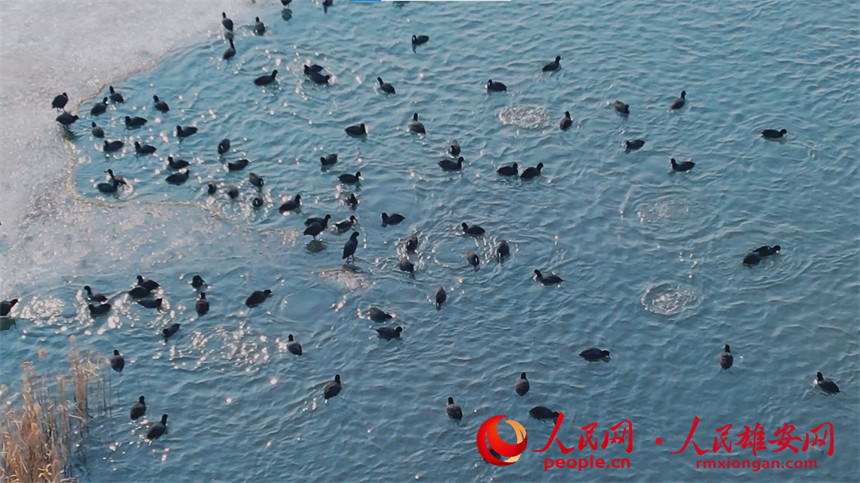 1565f63a736e2875a43853f54359af16_LOCAL202202192158000128090926117.jpg 1565f63a736e2875a43853f54359af16_LOCAL202202192158000128090926117.jpg