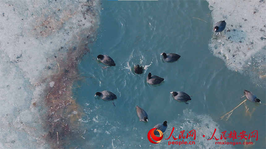 29826548451427f6e56be9f94a0a2049_LOCAL202202192157000337923939325.jpg 29826548451427f6e56be9f94a0a2049_LOCAL202202192157000337923939325.jpg