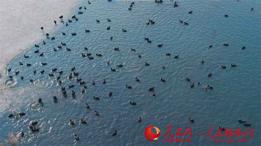 d1afe3b4a87a2f2f536487a7c7ced32e_LOCAL202202192157000087695364064.jpg d1afe3b4a87a2f2f536487a7c7ced32e_LOCAL202202192157000087695364064.jpg