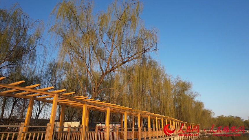 d548f1198cd9efd127ee8429798d441d_LOCAL202204051632000413251700936.jpg d548f1198cd9efd127ee8429798d441d_LOCAL202204051632000413251700936.jpg