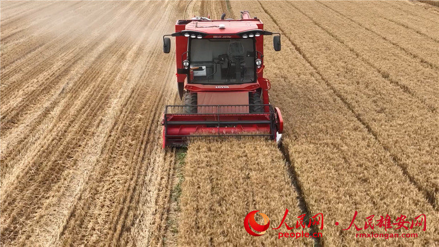 81b4489a030ca5eef3a27604499d45d9_LOCAL1655860997963LNUOL3OE1U.jpg 81b4489a030ca5eef3a27604499d45d9_LOCAL1655860997963LNUOL3OE1U.jpg