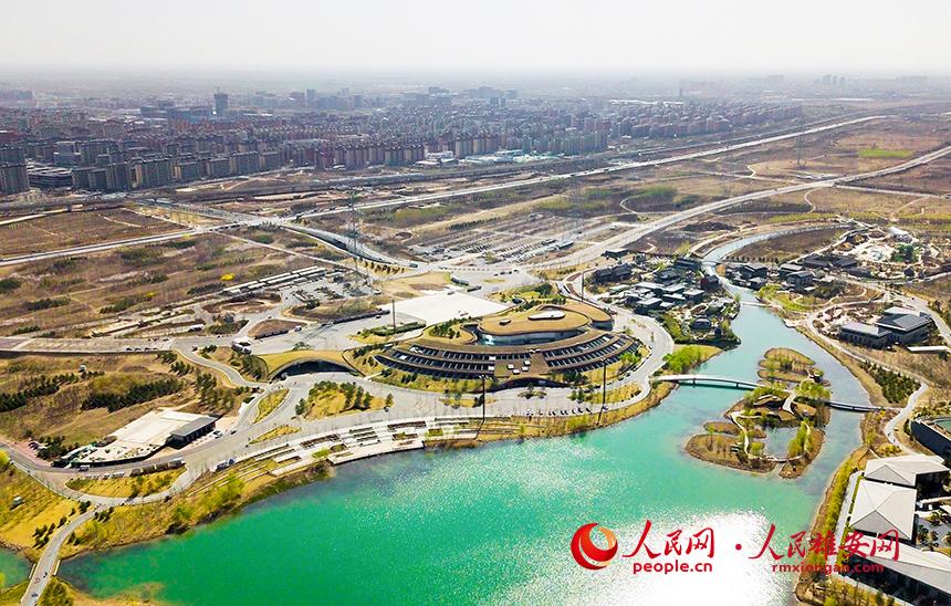 航拍雄安郊野公園。人民網(wǎng)宋燁文攝