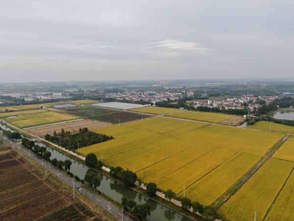 雙游村。受訪者供圖
