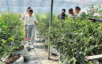 56c10b24810a16e8c97e811d8e4a6c4f_p8_b.jpg 56c10b24810a16e8c97e811d8e4a6c4f_p8_b.jpg