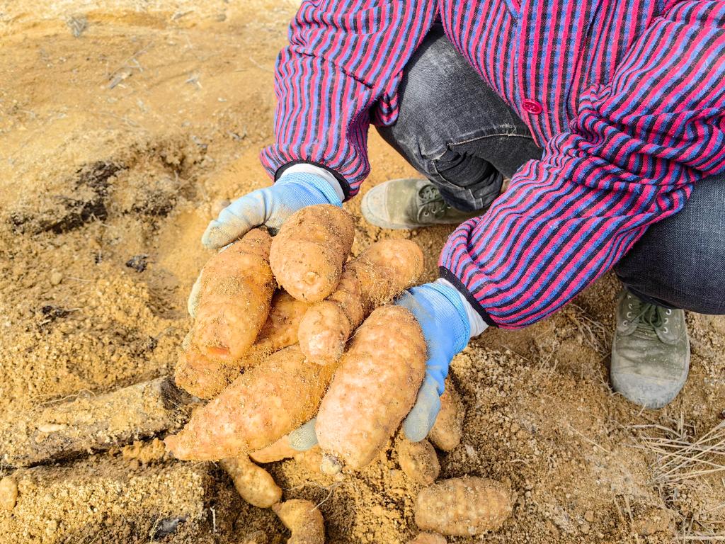 0683a131941df04c2da9b9cd41ef3c31_V2X8duE7EKDx3hhg.jpg 0683a131941df04c2da9b9cd41ef3c31_V2X8duE7EKDx3hhg.jpg