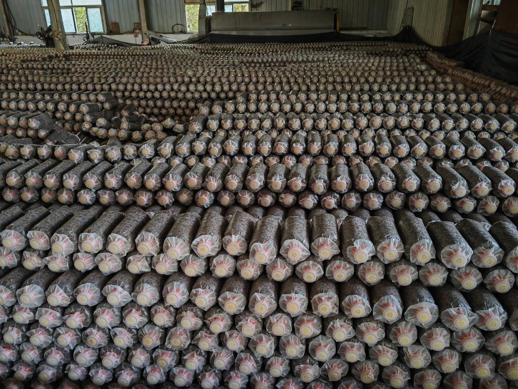 1f97ca6381888f39cd76149991314b2b_4fgqkO17lGJbEQC4.jpg 1f97ca6381888f39cd76149991314b2b_4fgqkO17lGJbEQC4.jpg